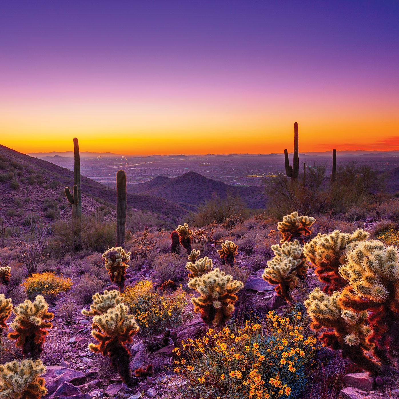 New Horizons: Discover Your Inner Cowgirl In Scottsdale, Arizona 