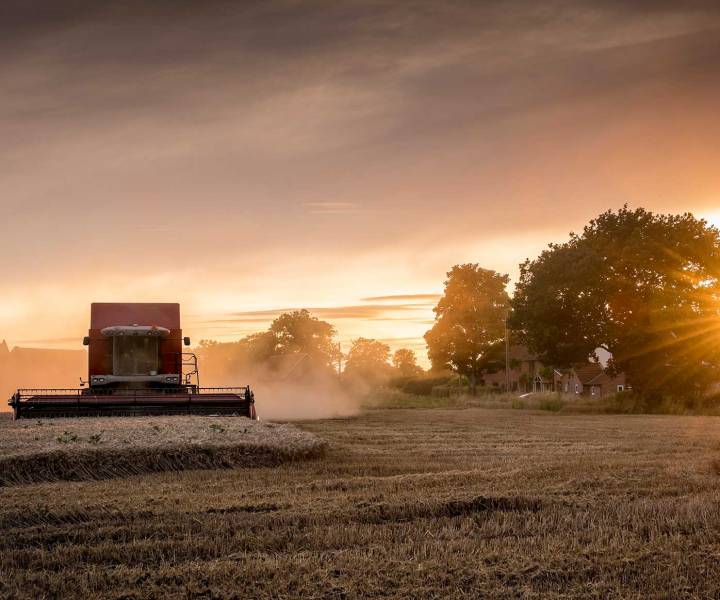 Harvest gleanings: 10 fascinating facts about British harvest time