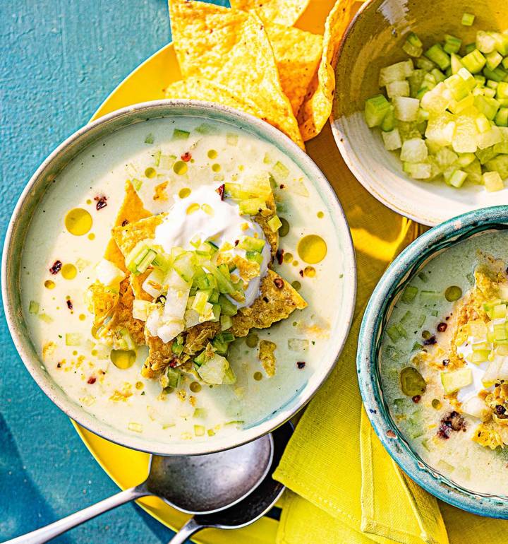 Chilled salsa soup