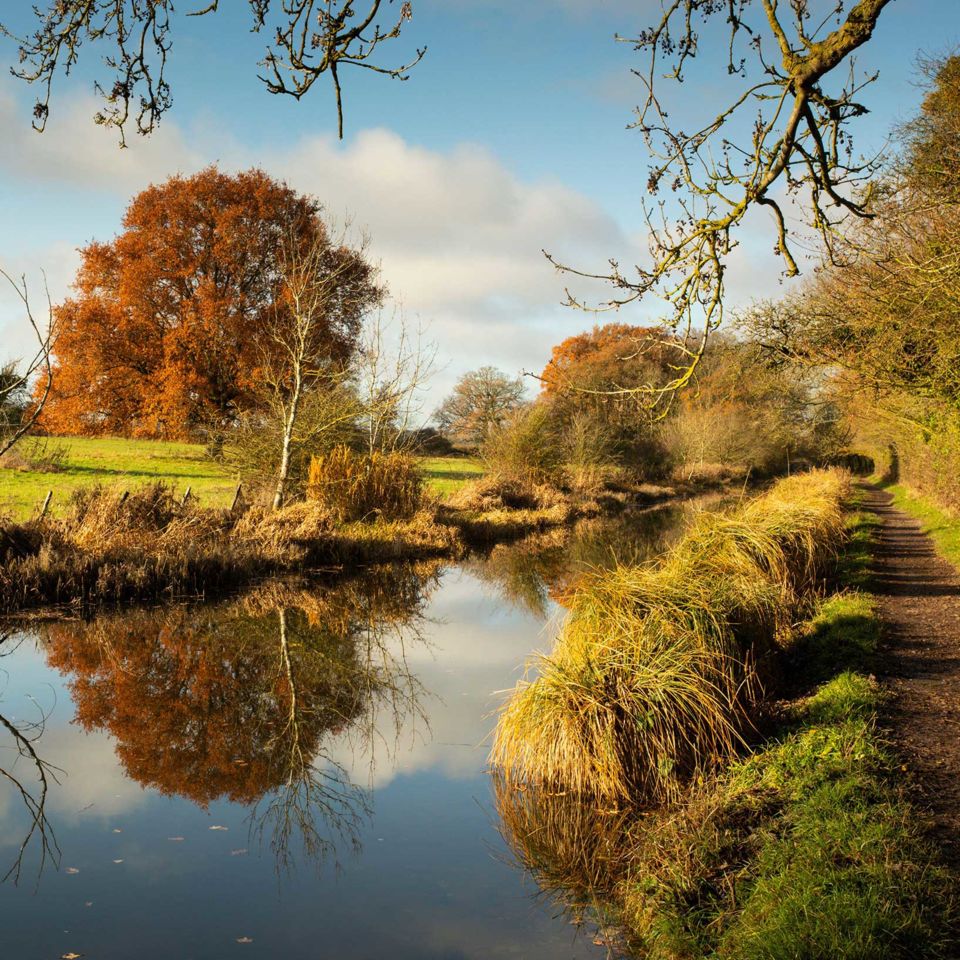 Basingstoke Canal. Image: Alamy
