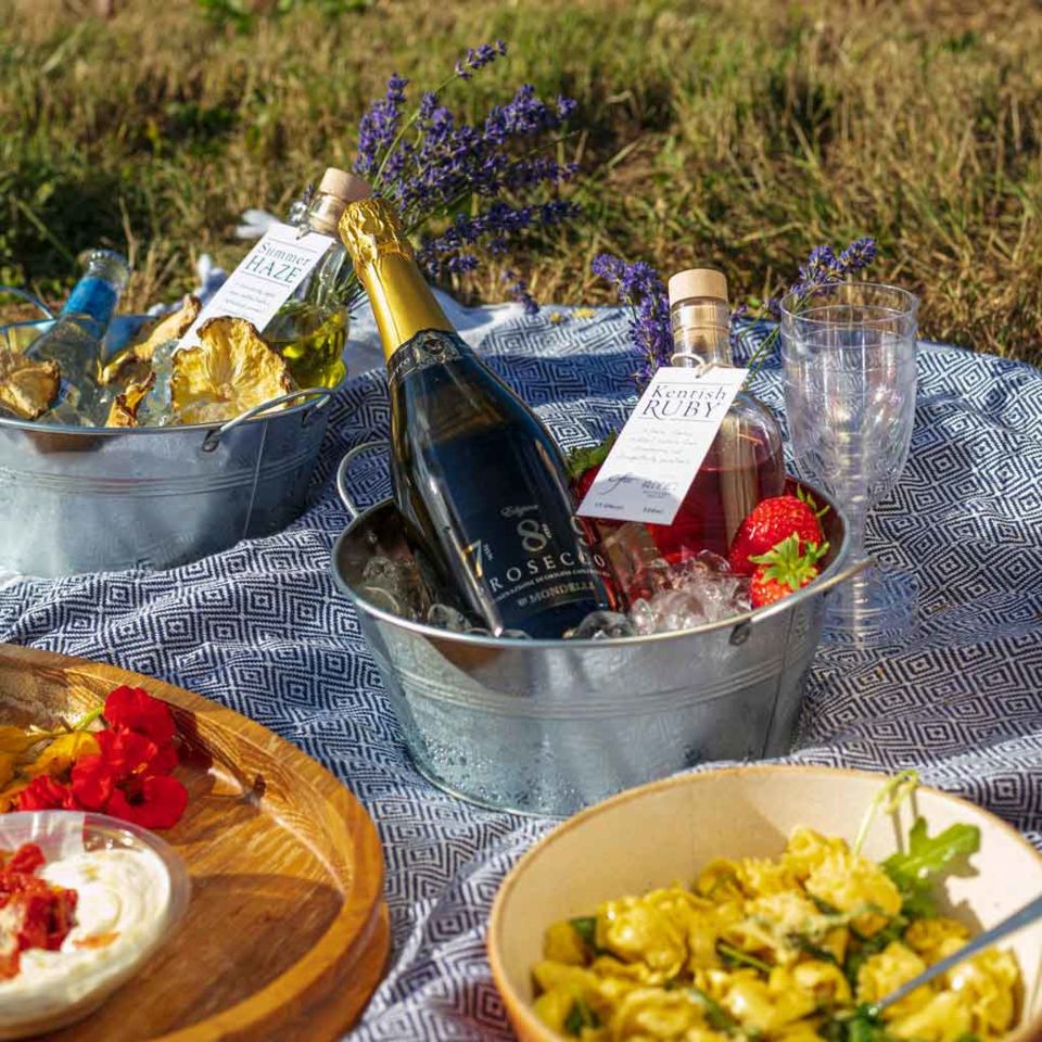 Picnic in a lavender field at Castle Farm, Kent