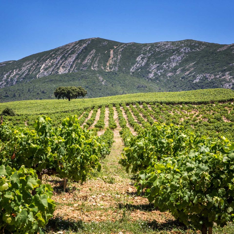 Image: Turismo de Portugal