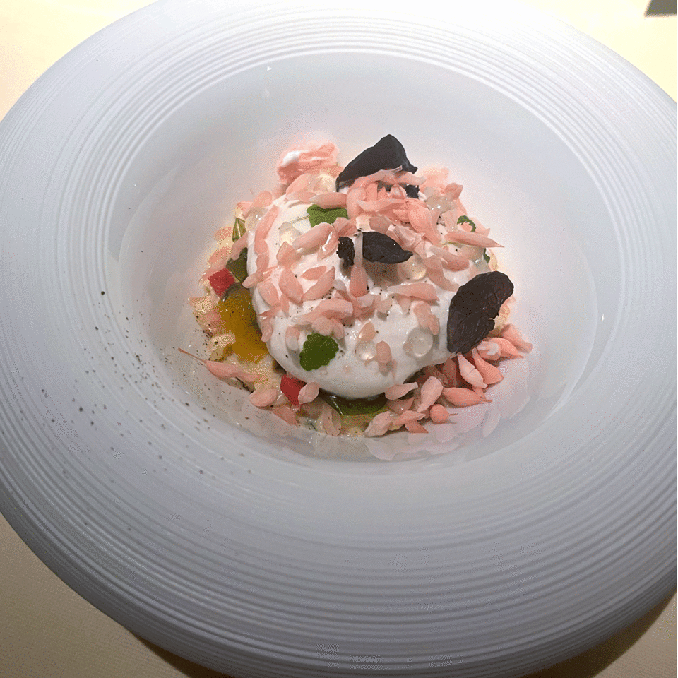 Two Michel-star plates