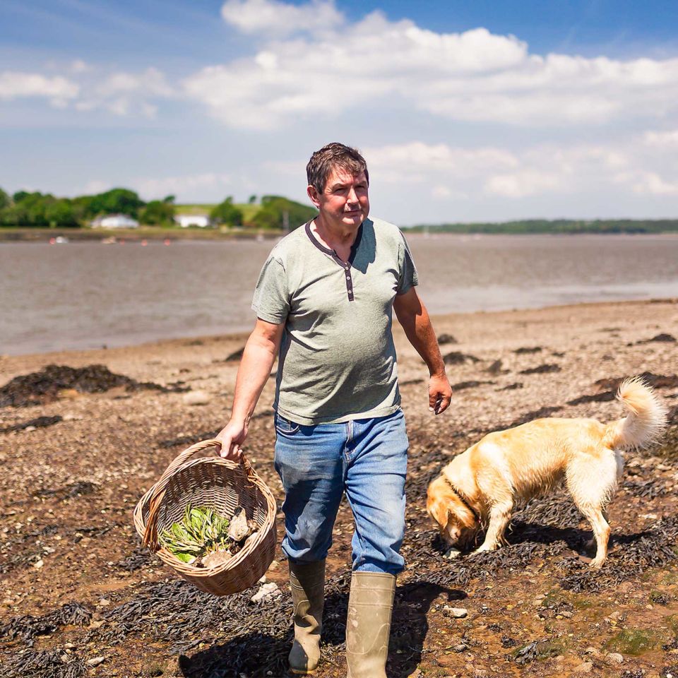 foraging_CraigEvans_cms