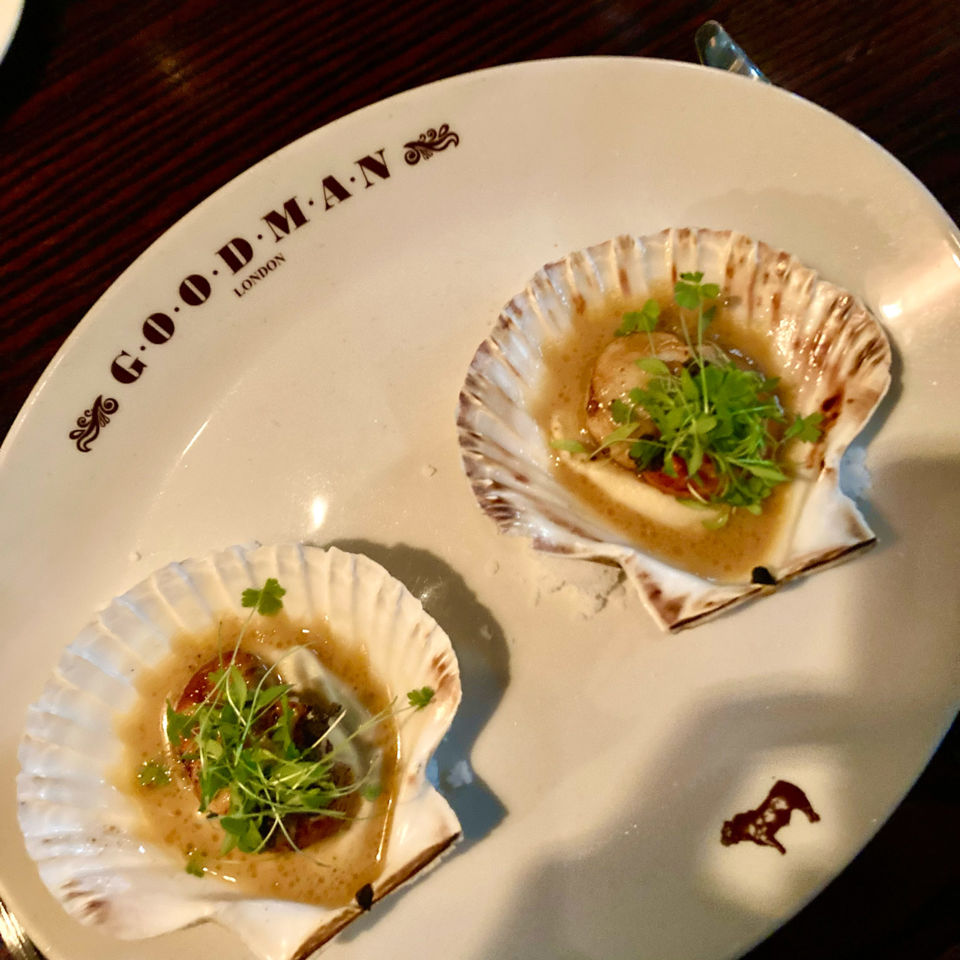 Devon scallops