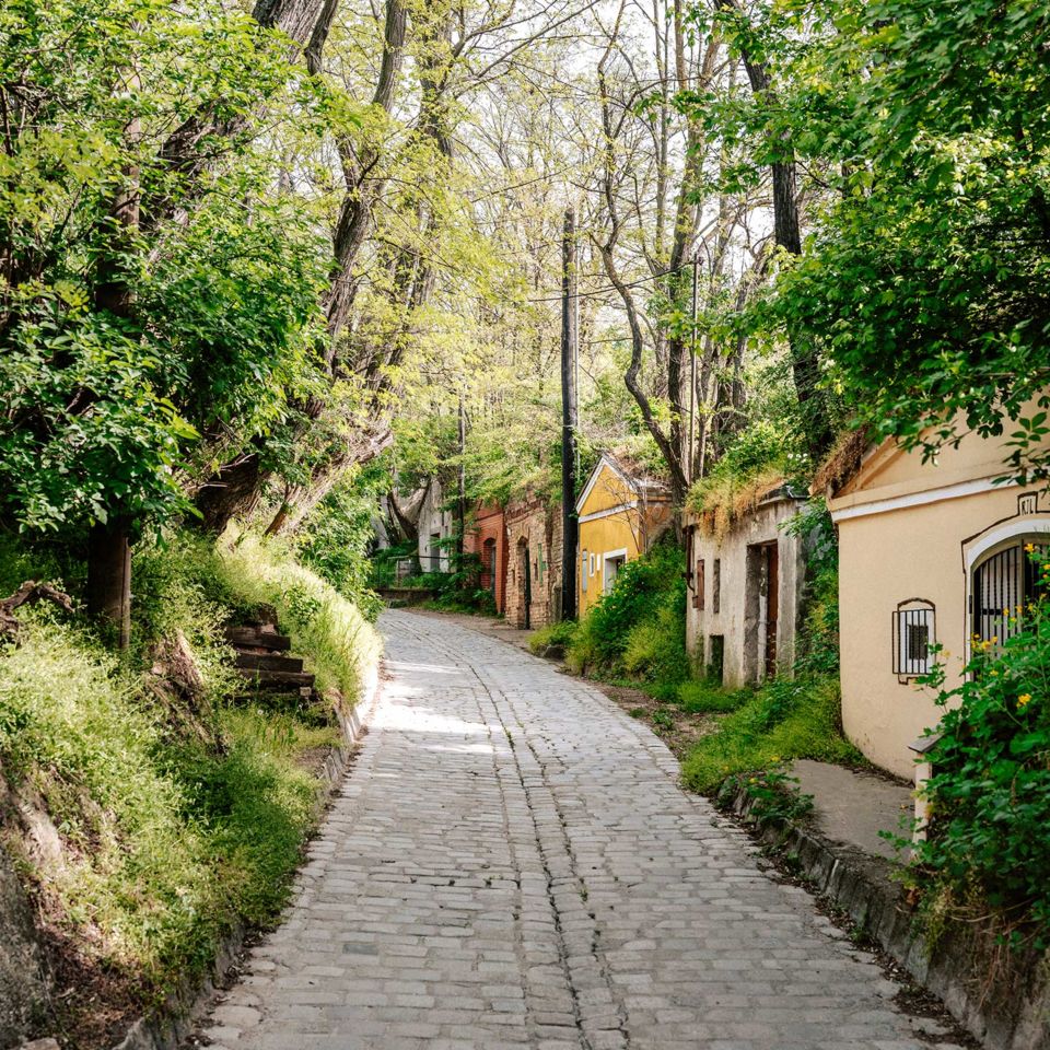 Beautiful walks through Vienna
